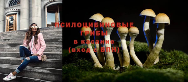 apvp Балабаново