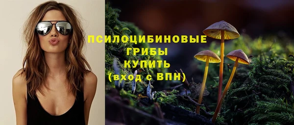 ГАЛЛЮЦИНОГЕННЫЕ ГРИБЫ Няндома