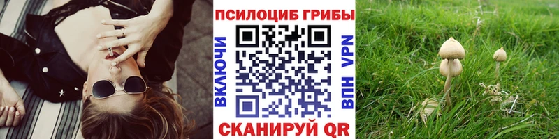 Галлюциногенные грибы прущие грибы  Вуктыл 